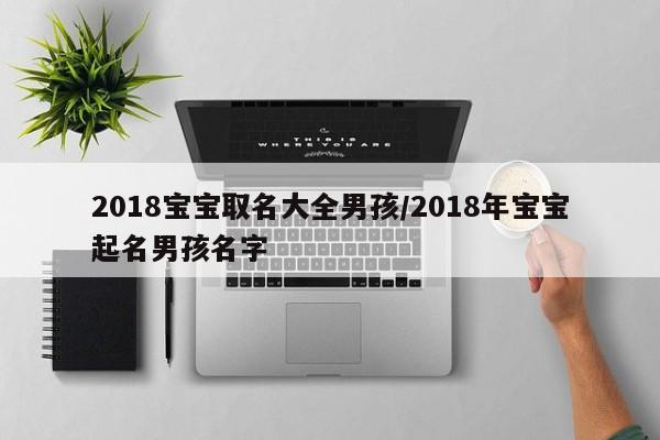 2018宝宝取名大全男孩/2018年宝宝起名男孩名字