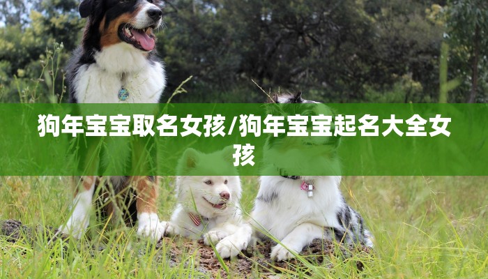 狗年宝宝取名女孩/狗年宝宝起名大全女孩