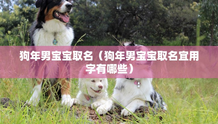 狗年男宝宝取名（狗年男宝宝取名宜用字有哪些）