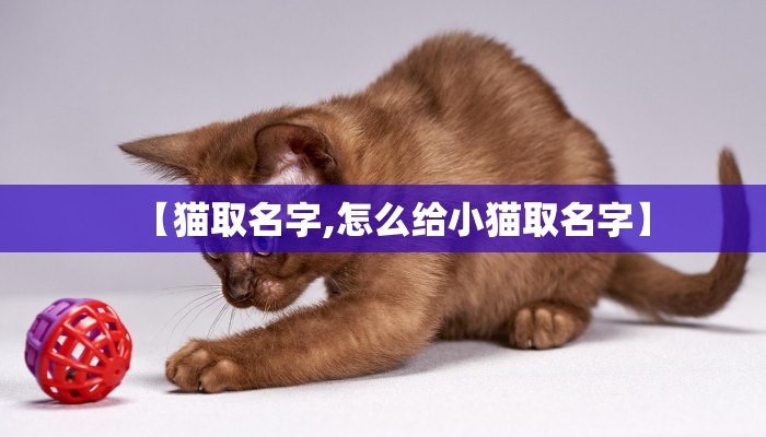 商贸物流:甘肃疆通商贸物流