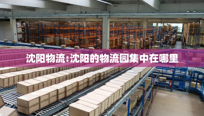 沈阳物流:沈阳的物流园集中在哪里