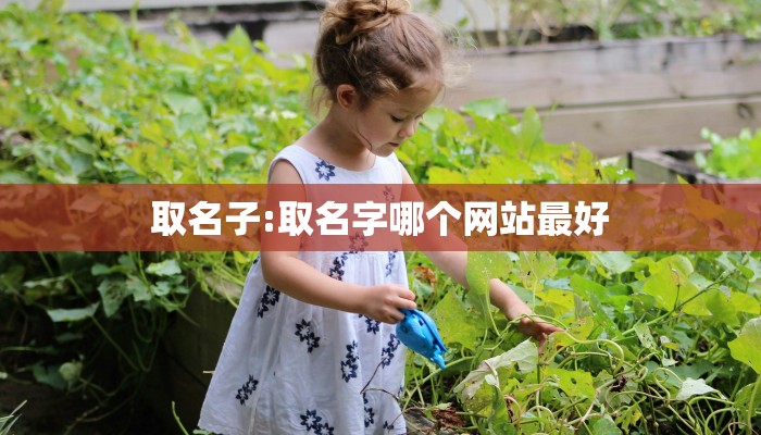 取名子:取名字哪个网站最好