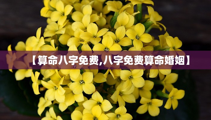 【算命八字免费,八字免费算命婚姻】