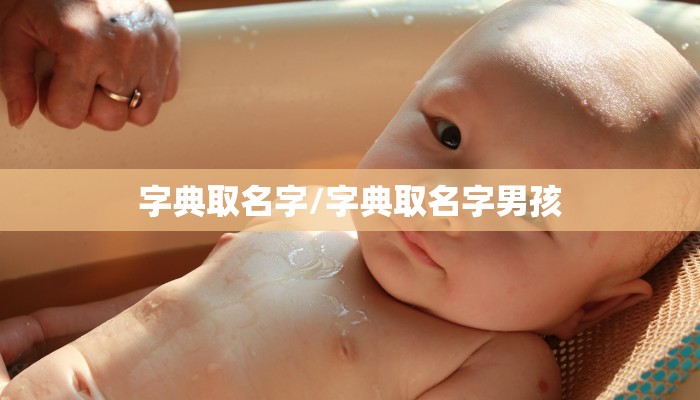 字典取名字/字典取名字男孩