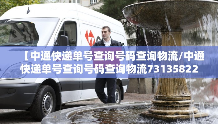 【中通快递单号查询号码查询物流/中通快递单号查询号码查询物流73135822006006】