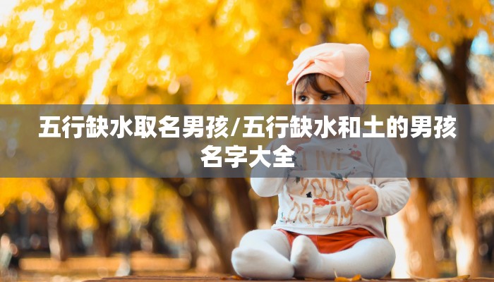 五行缺水取名男孩/五行缺水和土的男孩名字大全