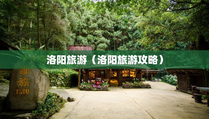 韵达物流/韵达物流官网查物流