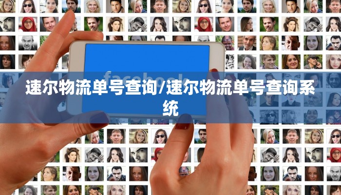 速尔物流单号查询/速尔物流单号查询系统