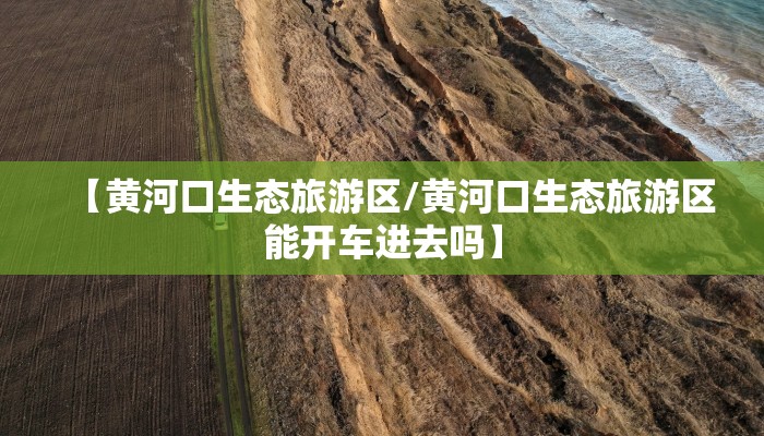 【黄河口生态旅游区/黄河口生态旅游区能开车进去吗】