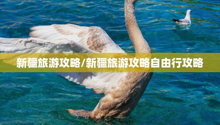 新疆旅游攻略/新疆旅游攻略自由行攻略