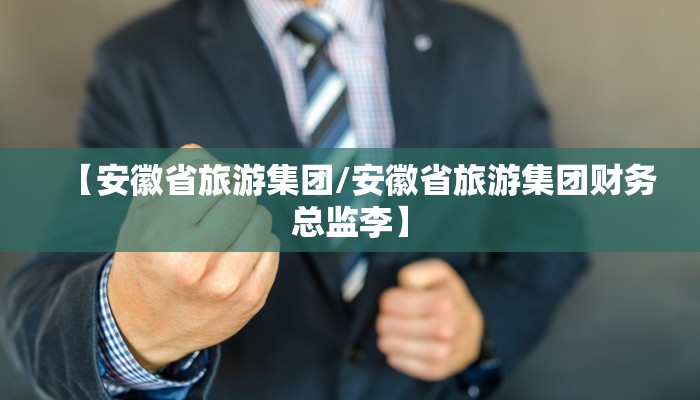 【安徽省旅游集团/安徽省旅游集团财务总监李】